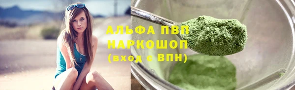 PSILOCYBIN Богородск
