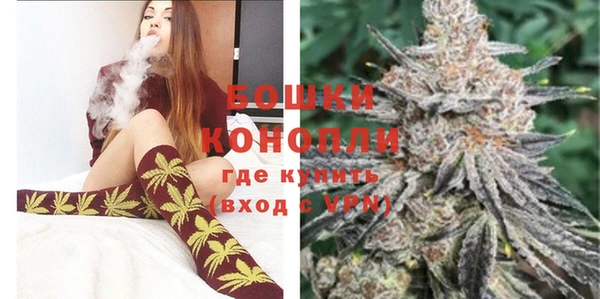 PSILOCYBIN Богородск