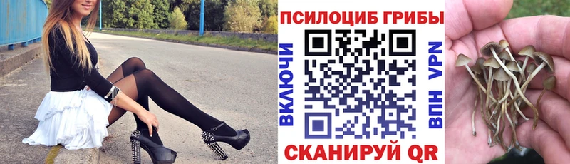 ссылка на мегу вход  Дагестанские Огни  Псилоцибиновые грибы ЛСД 